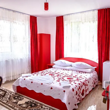Pensiunea Larisa-2